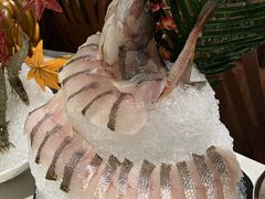 -海玥荟海鲜姿造自助餐厅(欧罗巴广场店)