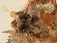 -萧邦音乐会所KTV·蒸汽活海鲜自助(福田店)