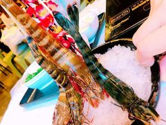 -鲜入围煮花胶鸡海鲜火锅