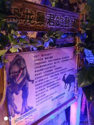 -恐龙探索乐园(磁器口店)
