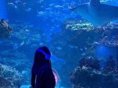 -海合安成都极地海洋公园