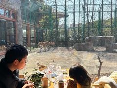 -上海野生动物园老虎餐厅