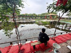 -同銮特种养殖场·龙虾垂钓