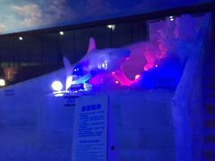 -世界之窗阿尔卑斯冰雪世界