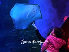 -成都浩海立方海洋公园