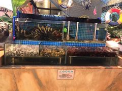 水产区-鹿客臻鲜海鲜自助餐厅(永旺店)