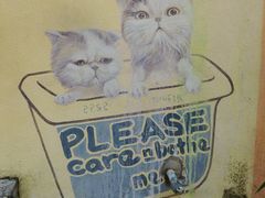 -槟城街头艺术街区