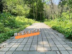 -老山国家森林公园