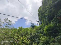 -王顺山国家森林公园