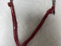 -小叮当动物医院·骨科·眼科