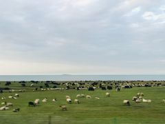 -青海湖国家重点风景名胜区