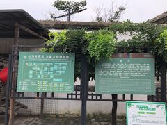 -王家大院