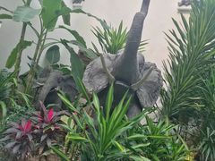 -德百温泉大观园生态餐厅(夏津店)