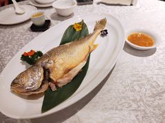 潮式打冷鲜冻黄花鱼-红棉中餐厅·广州海航威斯汀酒店