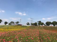 -上海杨姆庄园
