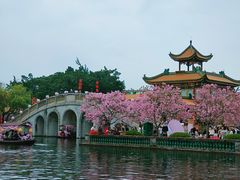 -宝墨园景区