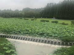 -宜兴龙背山森林公园