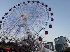 -武汉园博园(武汉自然博物馆)