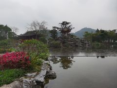 -顺峰山公园