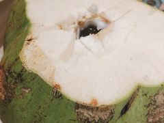 -椰夫人·养生椰子鸡(黄埔时代城店)