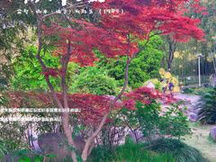 -新虹桥中心花园