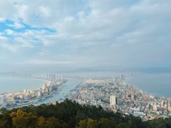 -广东惠东海龟国家级自然保护区