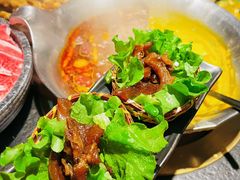 -湊湊火锅·茶憩(石家庄万象城店)