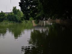-小洲村