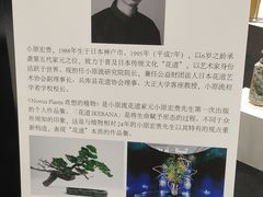 -梅龙镇广场