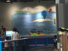 -蒙特利亲子乐园