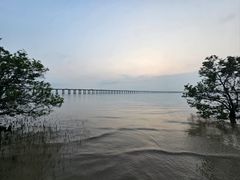 -深圳湾公园(南山区)