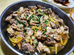 -鲤鱼塘农家山庄