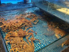 -姚江春中餐厅·太平洋大酒店