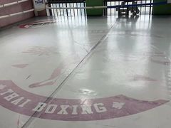 -臻元搏击格斗泰拳拳馆(港隆店)