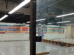 -舞蕾舞蹈(特长生校区)