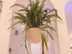 -春树下·树屋花房西餐厅(罍街AS1980店)