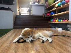 -YCHL Studios健身工作室(市二宫店)