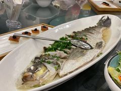 白鱼-海景壹号大酒店(滨湖店)