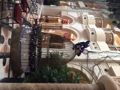 iphone_upload_pic-深圳东部华侨城茵特拉根酒店