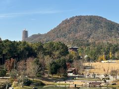 -牛首山文化旅游区