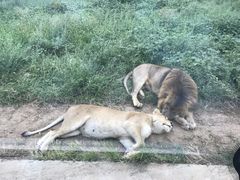 -西安秦岭野生动物园