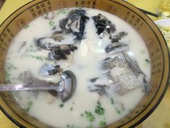 -全乐鱼馆·淳牌有机鱼直营店