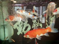 -小城外婆肴私房菜.家宴聚集点(圆明园颐和园·清河上地店)