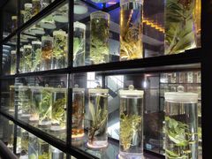 -广东中医药博物馆
