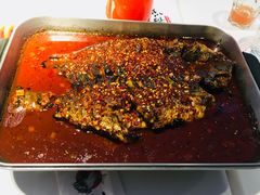 -鱼酷活鱼烤鱼(沈阳大悦城店)