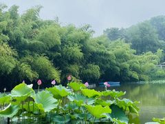 -河南省黄河迎宾馆