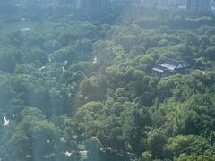 -沙市市中山公园