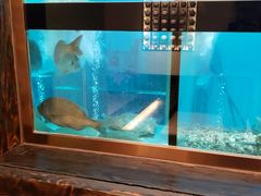 -吟松日式料理(莘庄店)
