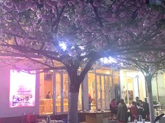 -番茄犟汤锅(东坝店)