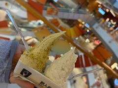 -野人先生现做冰淇淋(北京环宇荟店)